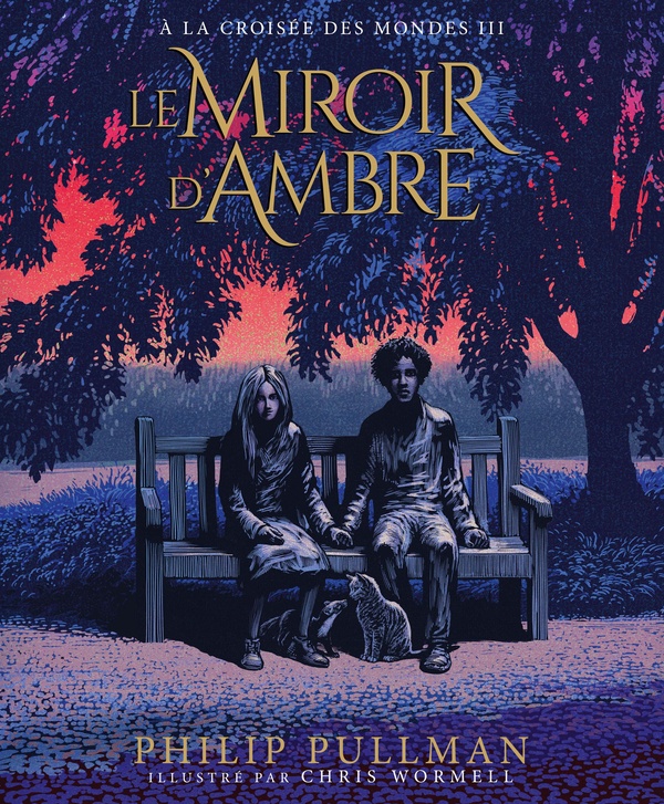 A LA CROISEE DES MONDES - T03 - LE MIROIR D'AMBRE - EDITION ILLUSTREE