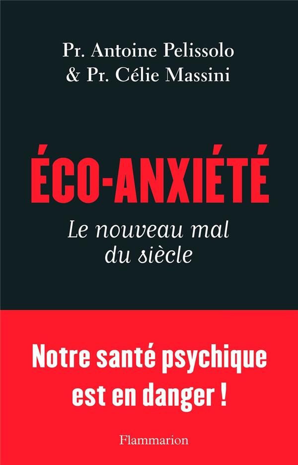 LES EMOTIONS DU DEREGLEMENT CLIMATIQUE - L'IMPACT DES CATASTROPHES ECOLOGIQUES SUR NOTRE BIEN-ETRE E