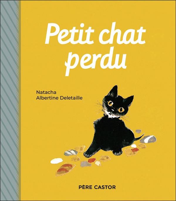 PETIT CHAT PERDU