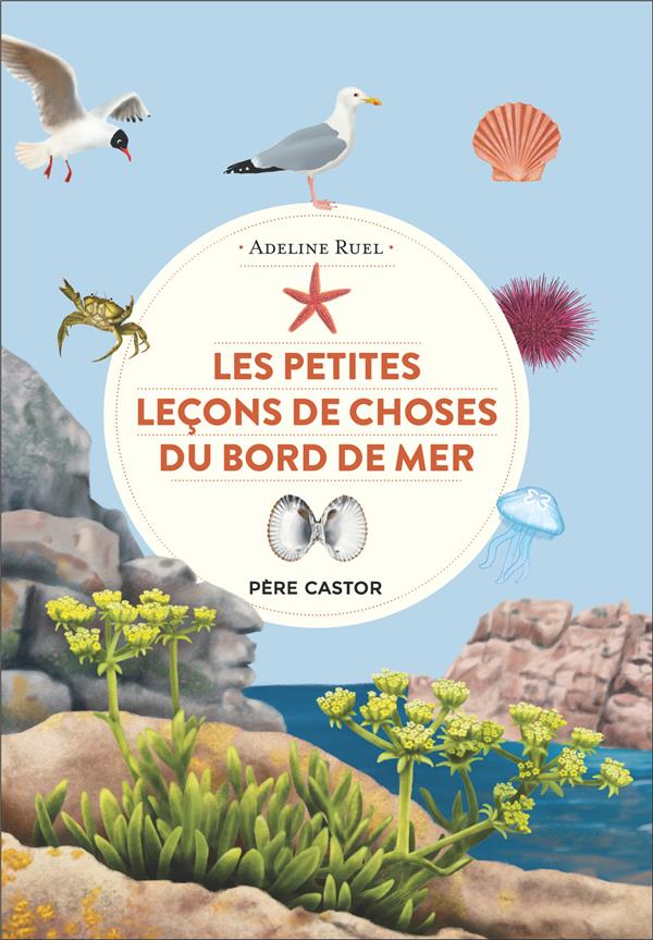 LES PETITES LECONS DE CHOSES DU BORD DE MER