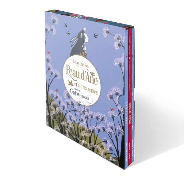 IL ETAIT UNE FOIS... PEAU D'ANE ET AUTRES CONTES - COFFRET DE TROIS CONTES