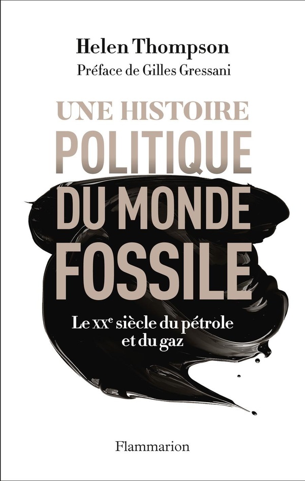 UNE HISTOIRE POLITIQUE DU MONDE FOSSILE - LE XX SIECLE DU PETROLE ET DU GAZ