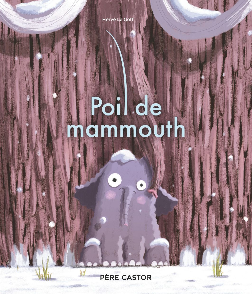 POIL DE MAMMOUTH