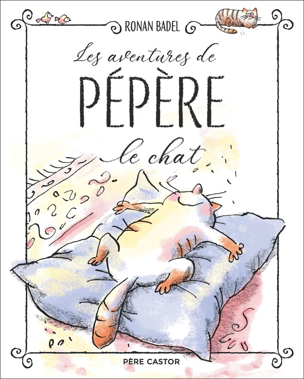 LES AVENTURES DE PEPERE LE CHAT - LA MAISON DE CHAT - UNE FAMILLE AU POIL - UNE VIE DE CHAT