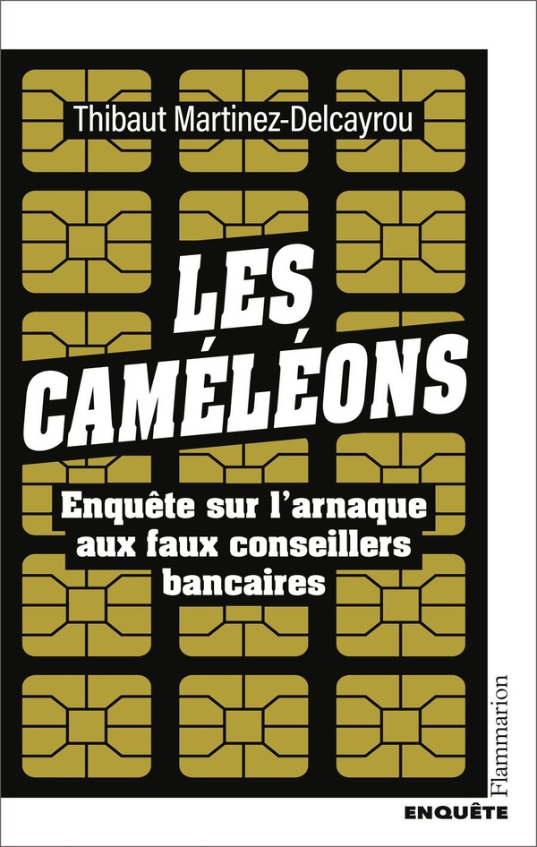 LES CAMELEONS - ENQUETE SUR L'ARNAQUE AUX FAUX CONSEILLERS BANCAIRES