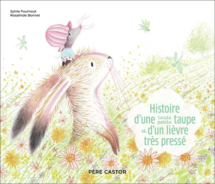 HISTOIRE D'UNE TOUTE PETITE TAUPE ET D'UN LIEVRE TRES PRESSE