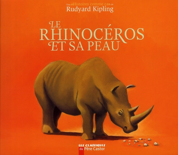 LE RHINOCEROS ET SA PEAU