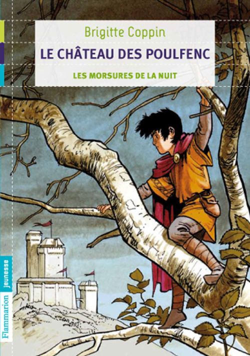 LE CHATEAU DES POULFENC - T01 - LES MORSURES DE LA NUIT