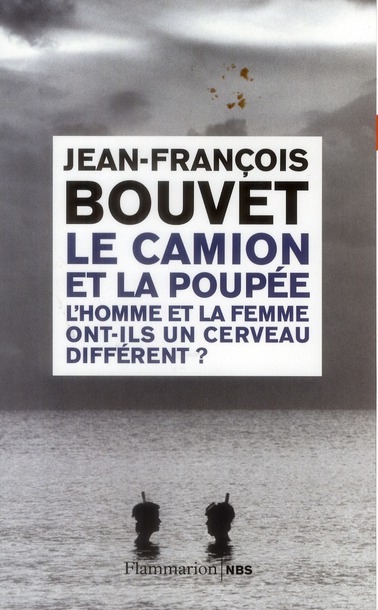 LE CAMION ET LA POUPEE - L'HOMME ET LA FEMME ONT-ILS UN CERVEAU DIFFERENT ?