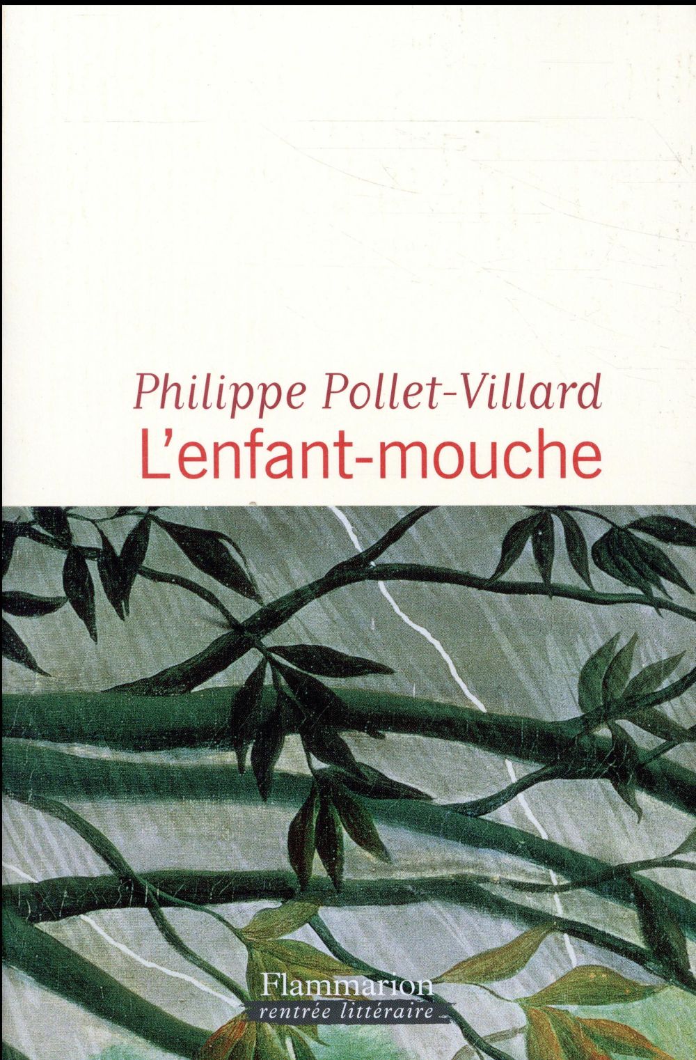 L'ENFANT-MOUCHE