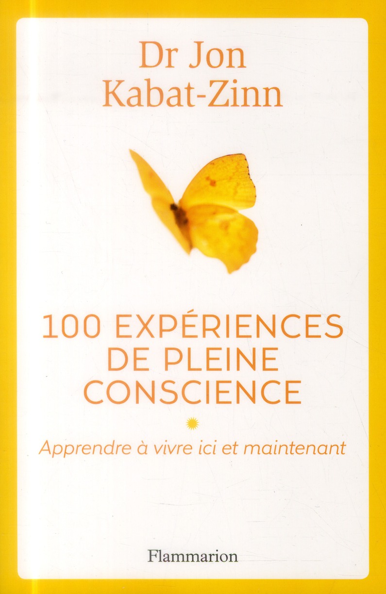 100 EXPERIENCES DE PLEINE CONSCIENCE - APPRENDRE A VIVRE ICI ET MAINTENANT