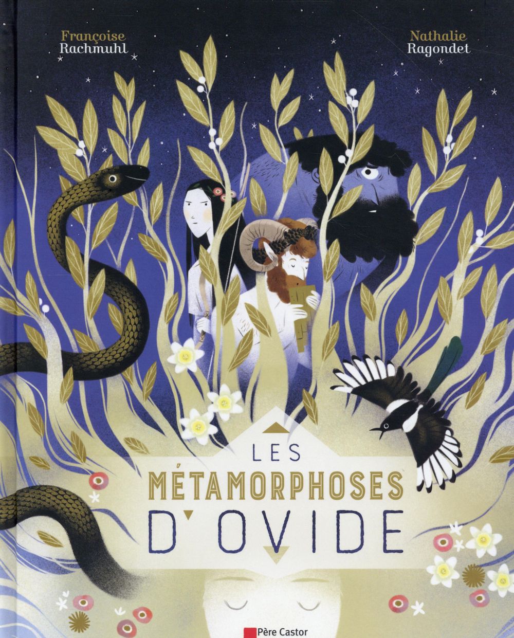 LES METAMORPHOSES D'OVIDE