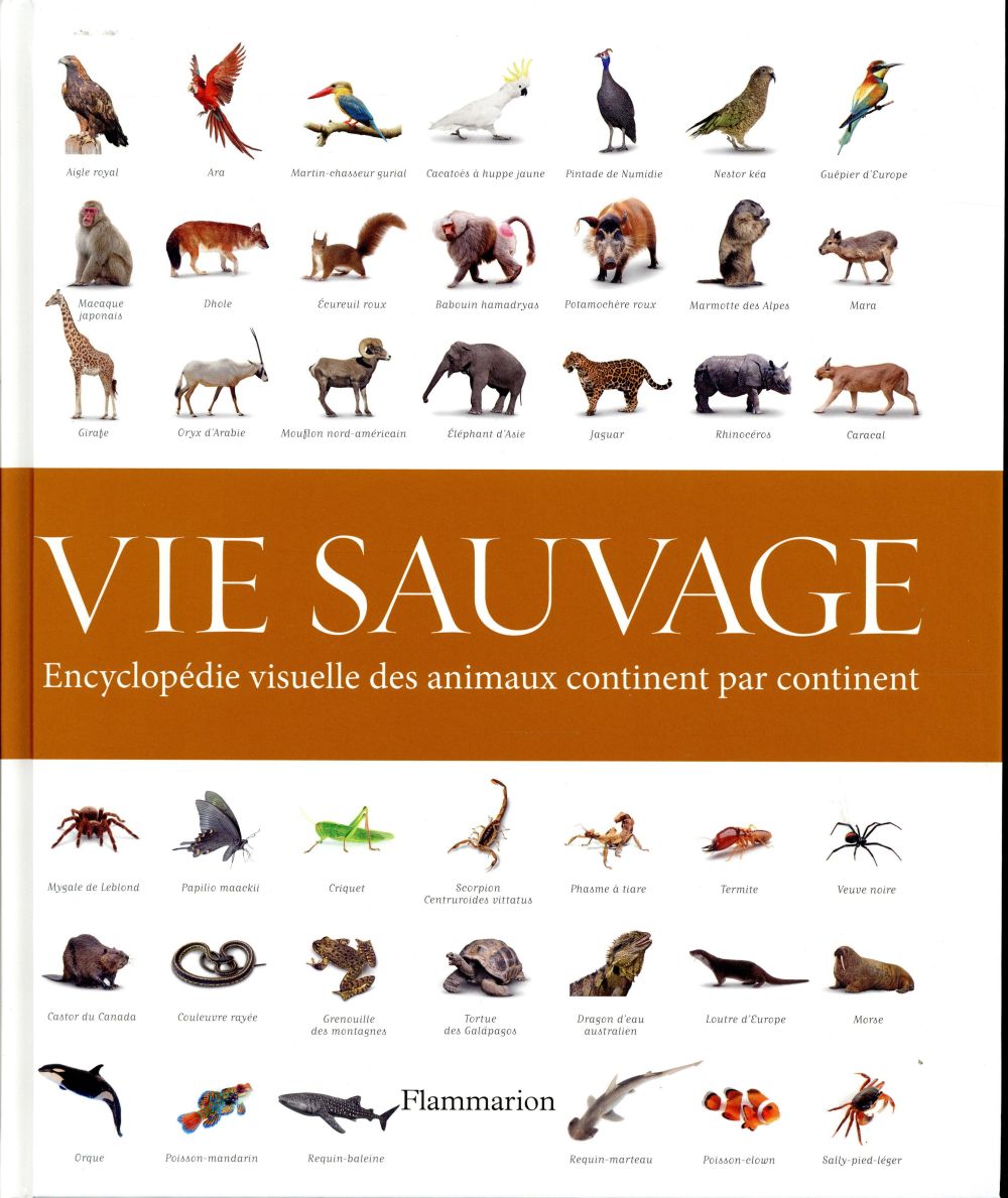 VIE SAUVAGE - ENCYCLOPEDIE VISUELLE DES ANIMAUX, CONTINENT PAR CONTINENT - ILLUSTRATIONS, COULEUR