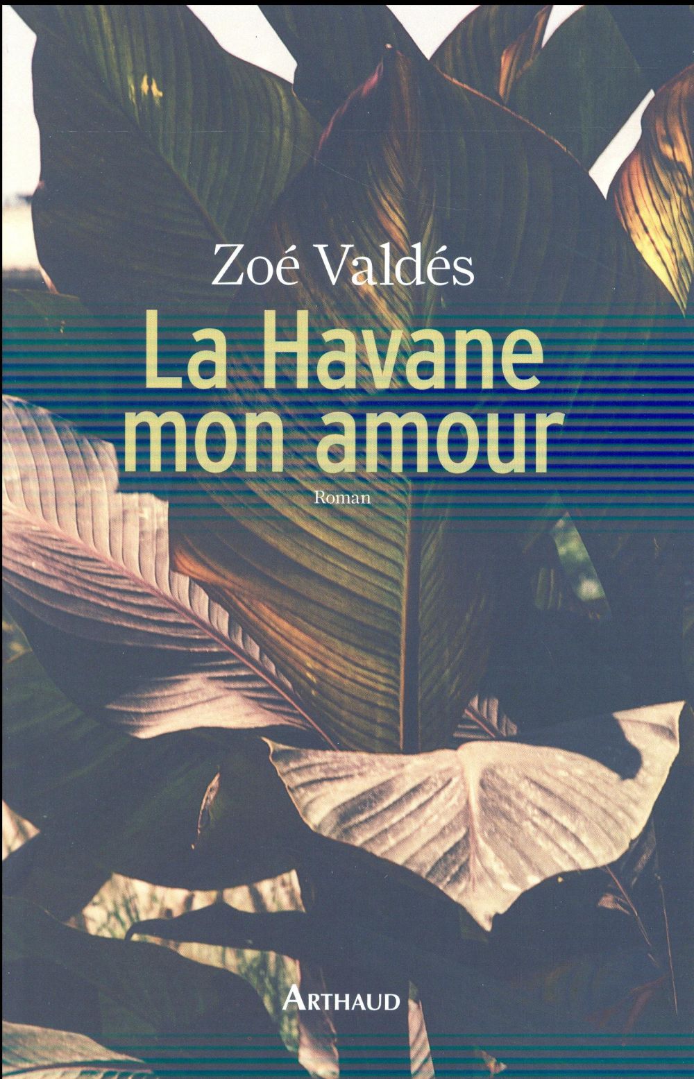 LA HAVANE, MON AMOUR