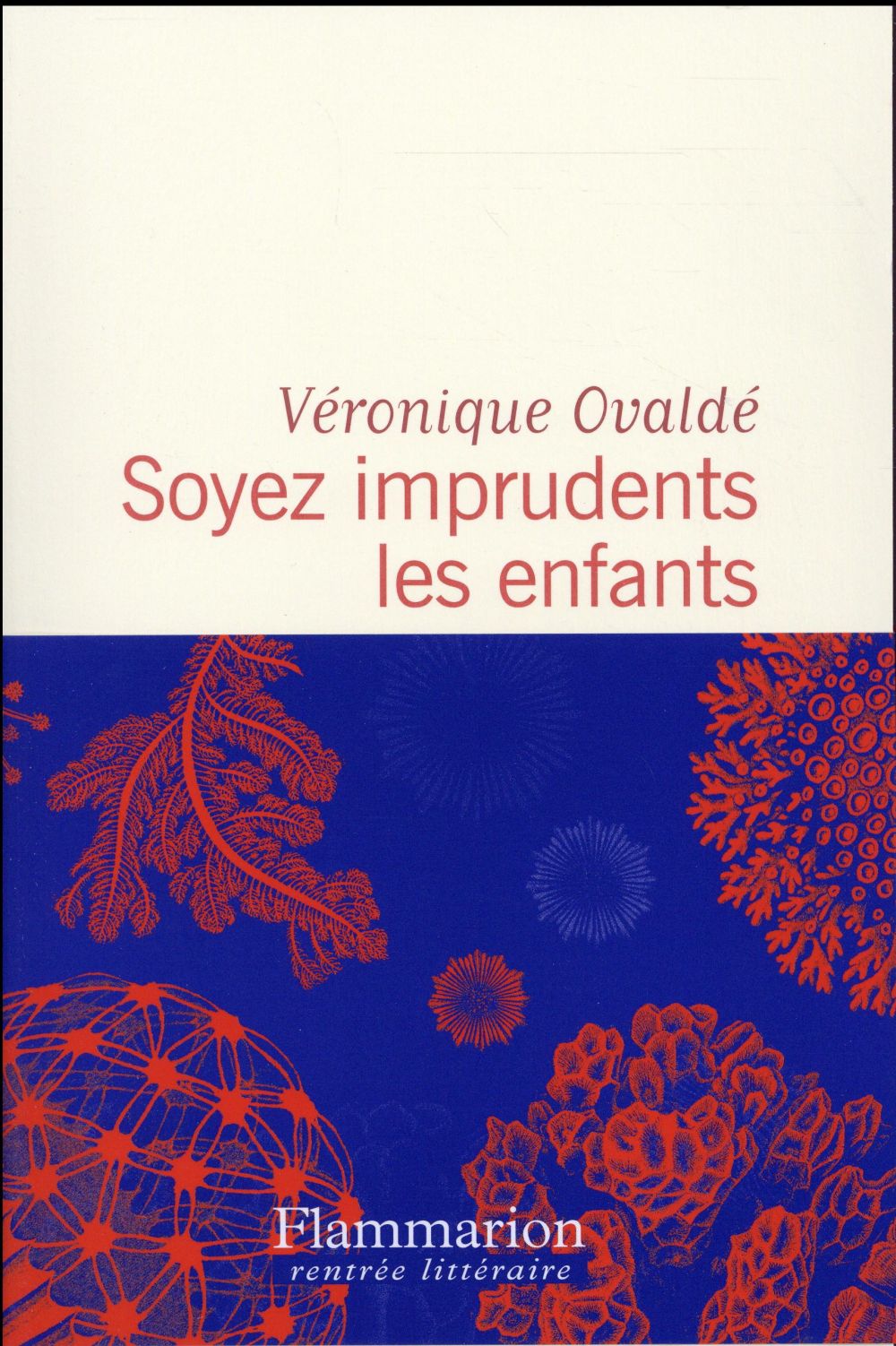 SOYEZ IMPRUDENTS LES ENFANTS