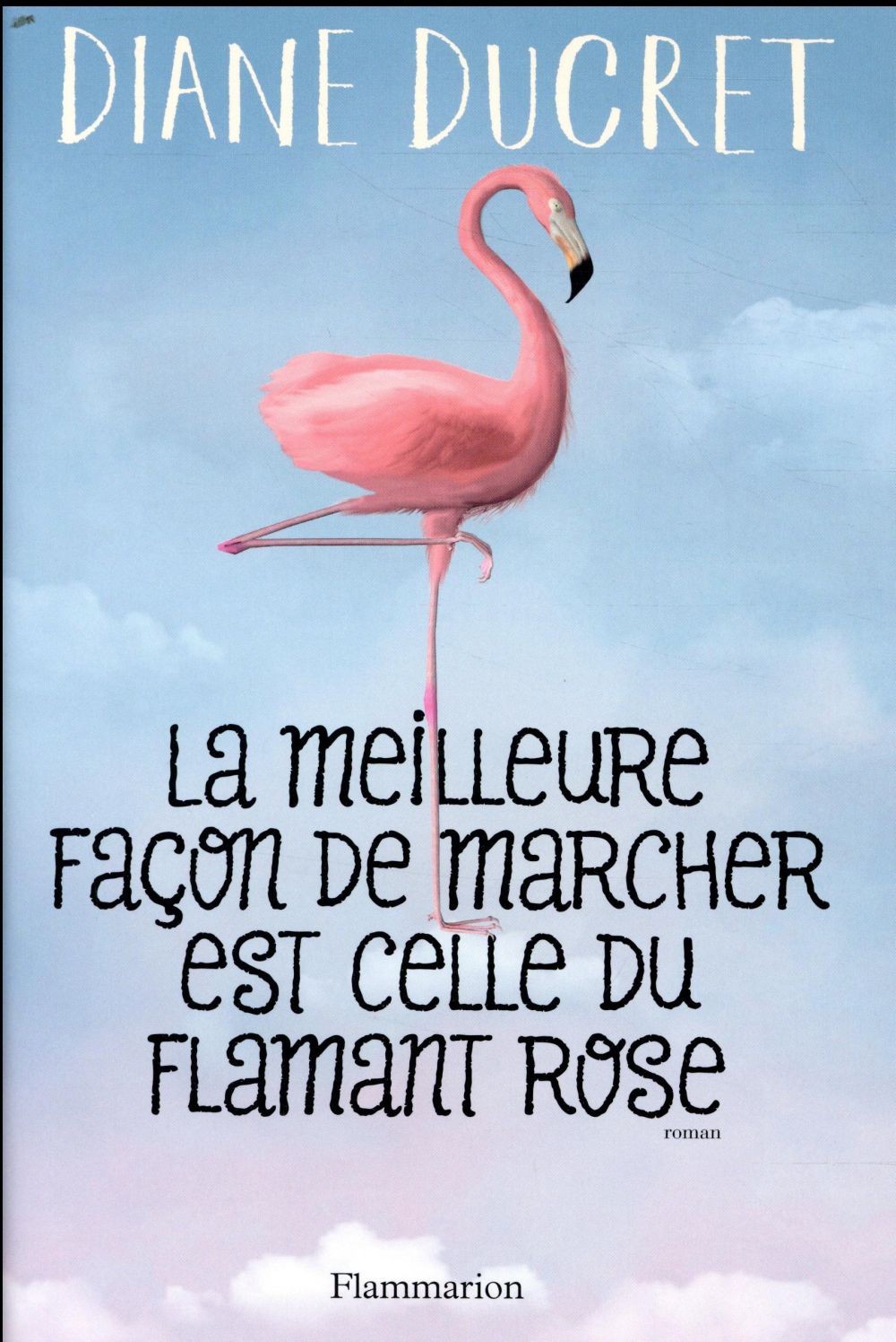 LA MEILLEURE FACON DE MARCHER EST CELLE DU FLAMANT ROSE