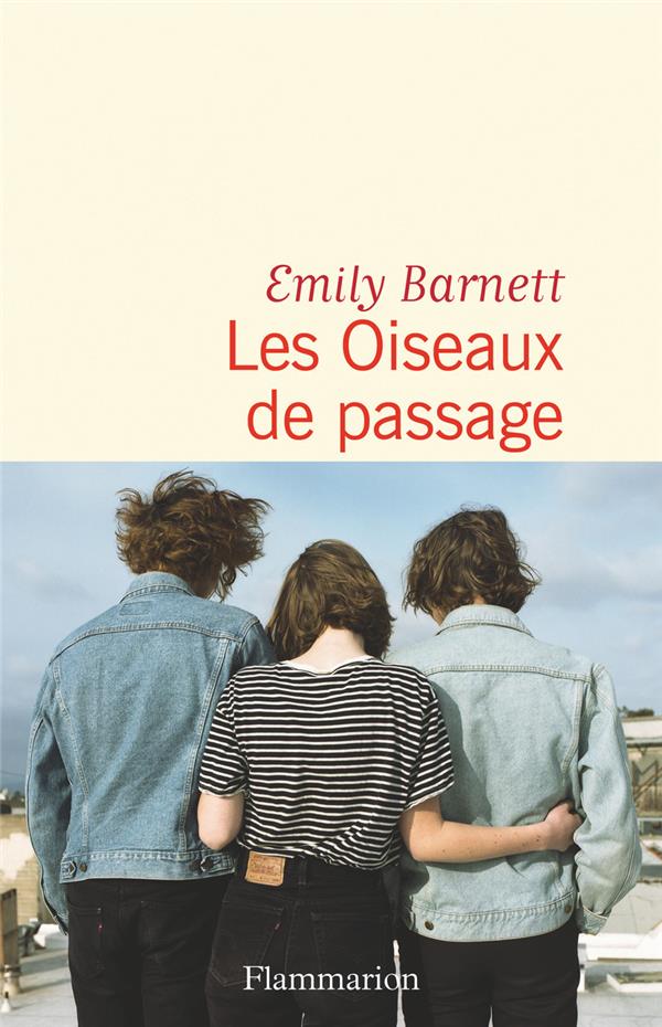 LES OISEAUX DE PASSAGE