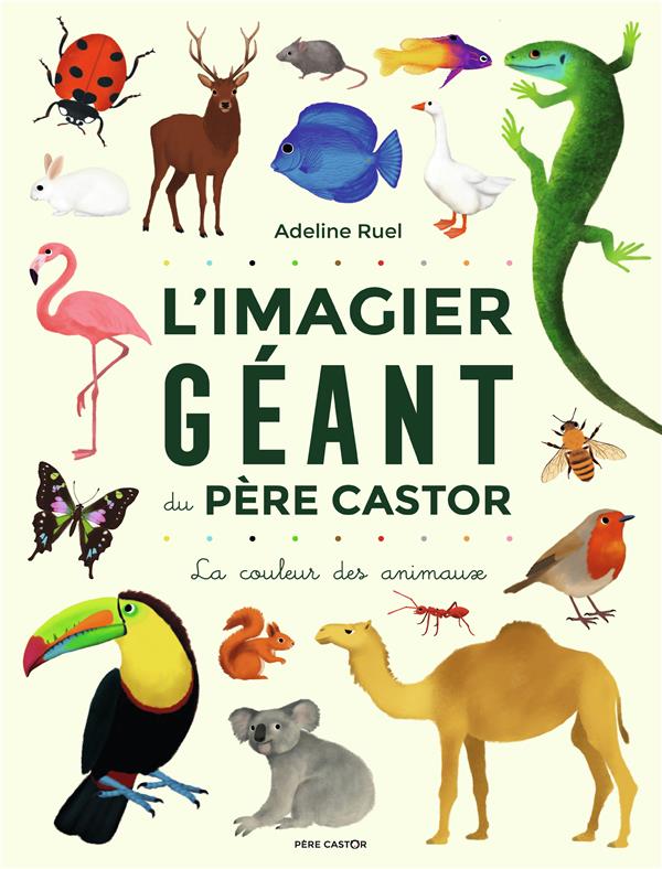 L'IMAGIER GEANT DU PERE CASTOR - LA COULEUR DES ANIMAUX