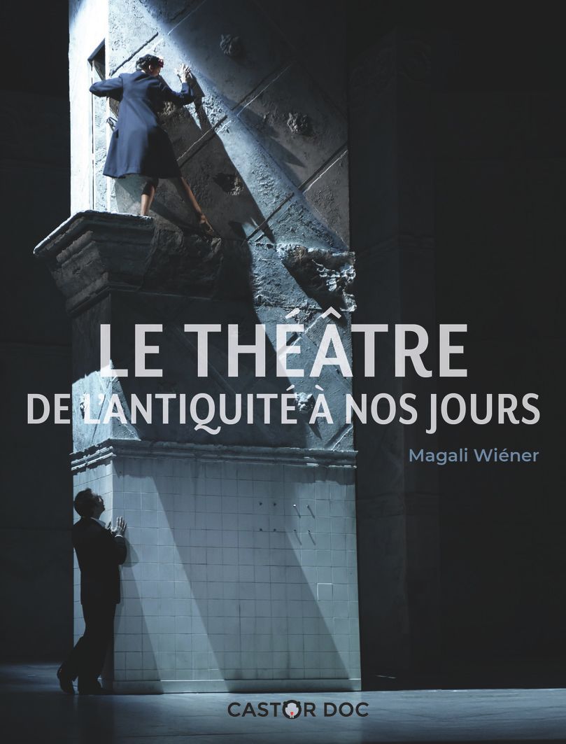 CASTOR DOC - LE THEATRE, DE L'ANTIQUITE A NOS JOURS (NE)