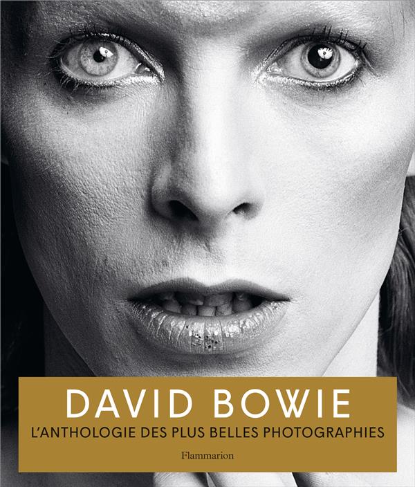 DAVID BOWIE - L'ANTHOLOGIE DES PLUS BELLES PHOTOGRAPHIES - ILLUSTRATIONS, NOIR ET BLANC