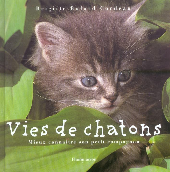 VIES DE CHATONS - MIEUX CONNAITRE SON PETIT COMPAGNON