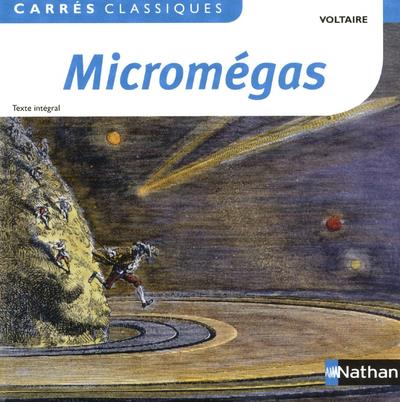 MICROMEGAS- VOLTAIRE - 17