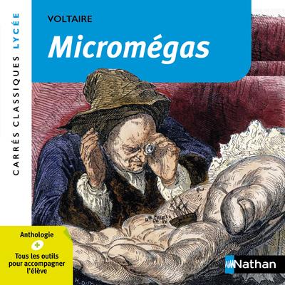 MICROMEGAS - VOLTAIRE - NUMERO 17