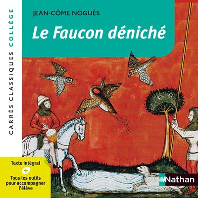 LE FAUCON DENICHE