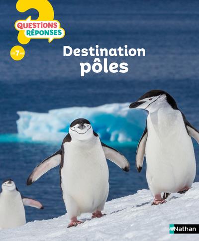 DESTINATION POLES