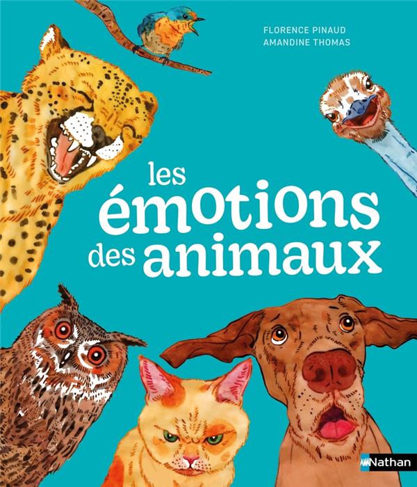 LES EMOTIONS DES ANIMAUX