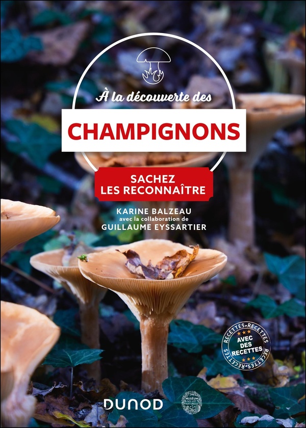 A LA DECOUVERTE DES CHAMPIGNONS - SACHEZ LES RECONNAITRE