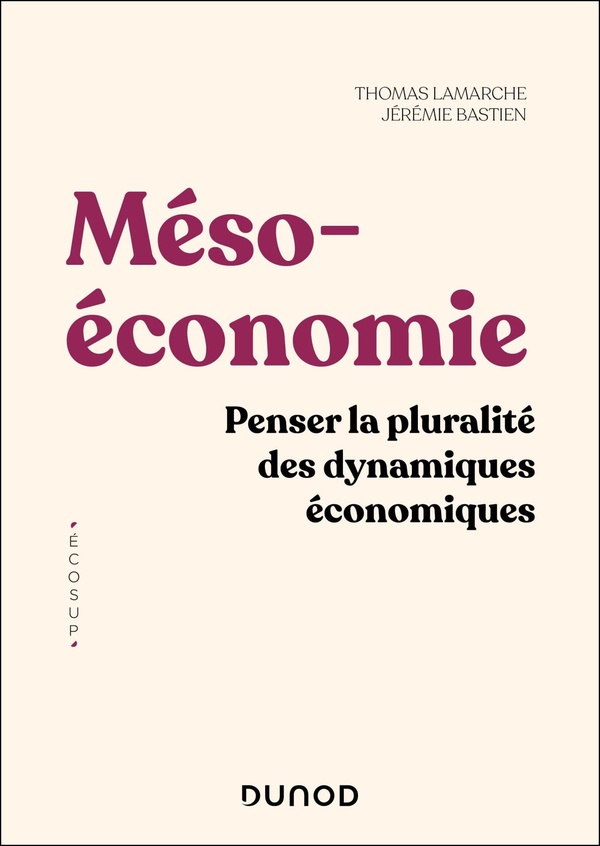 MESOECONOMIE - PENSER LA PLURALITE DES DYNAMIQUES ECONOMIQUES