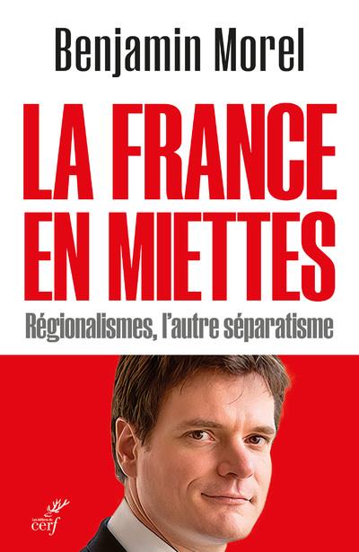 LA FRANCE EN MIETTES - REGIONALISMES, L'AUTRE SEPARATISME