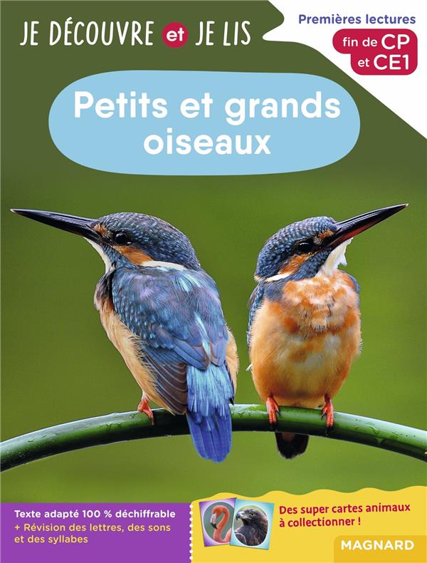 JE DECOUVRE ET JE LIS CP ET CE1 - PETITS ET GRANDS OISEAUX - PREMIERES LECTURES, PREMIERES DECOUVERT