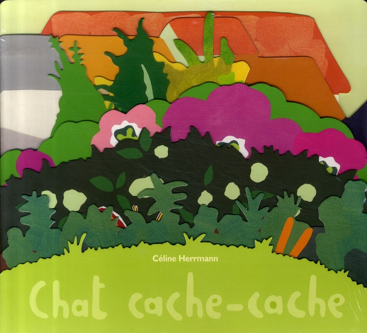 CHAT CACHE CACHE
