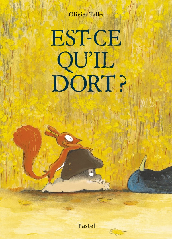 L'ECUREUIL - T05 - EST-CE QU'IL DORT ?