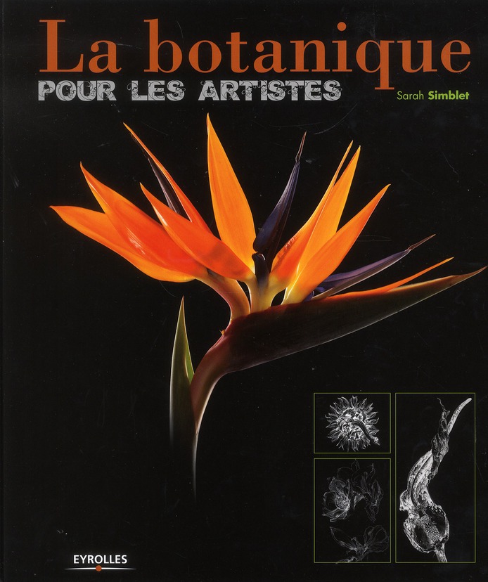 LA BOTANIQUE POUR  LES ARTISTES