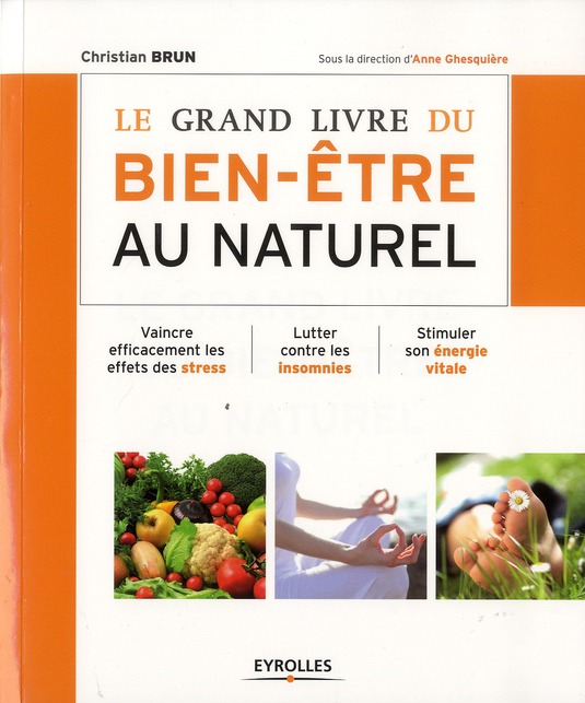 LE GRAND LIVRE DU BIEN-ETRE AU NATUREL - VAINCRE EFFICACEMENT LES EFFETS DES STRESS. LUTTER CONTRE L