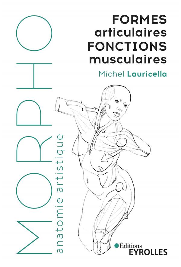 MORPHO FORMES ARTICULAIRES, FONCTIONS MUSCULAIRES