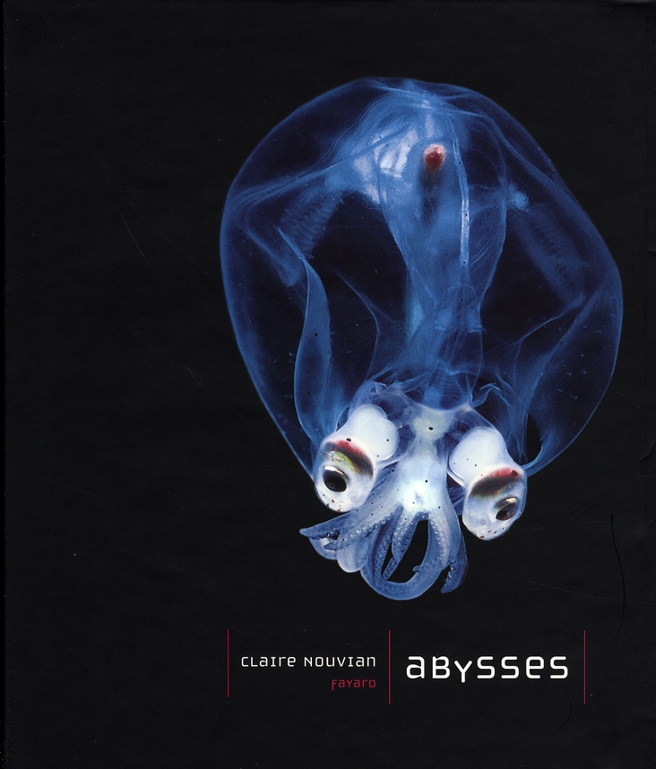 ABYSSES