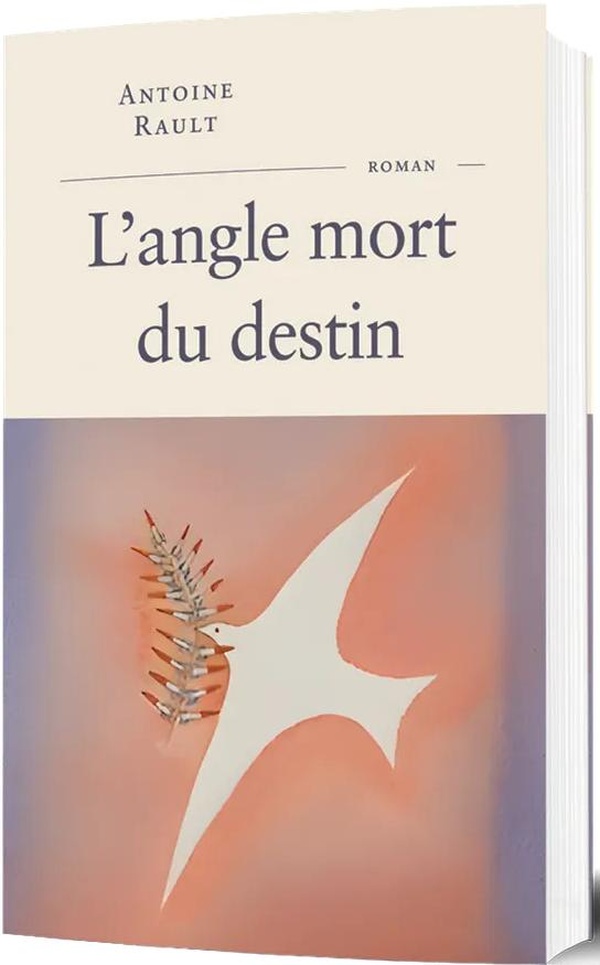 L'ANGLE MORT DU DESTIN