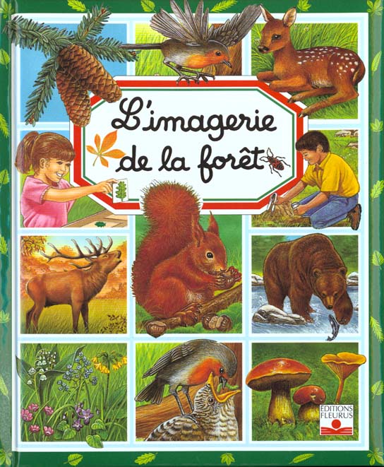 L'IMAGERIE DE LA FORET