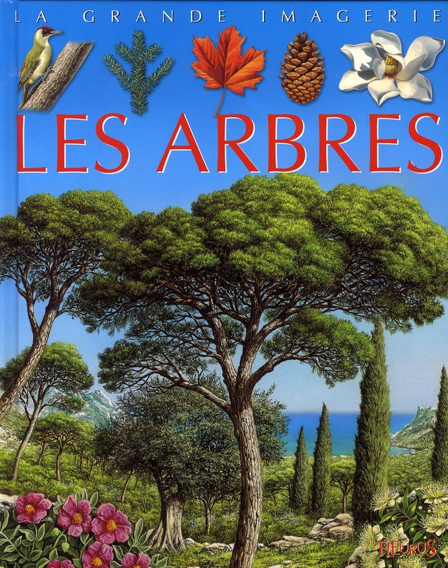 LES ARBRES