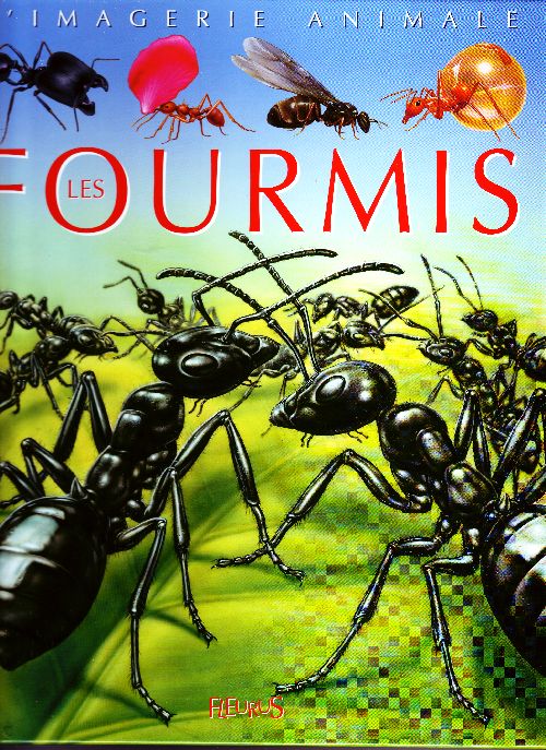 LES FOURMIS