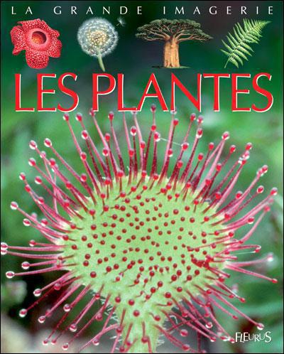 LES PLANTES