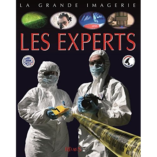 LES EXPERTS