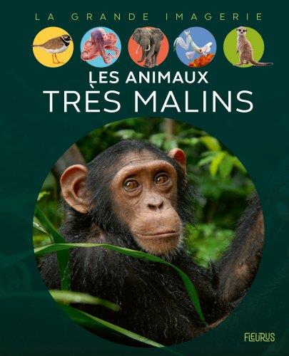 LES ANIMAUX TRES MALINS