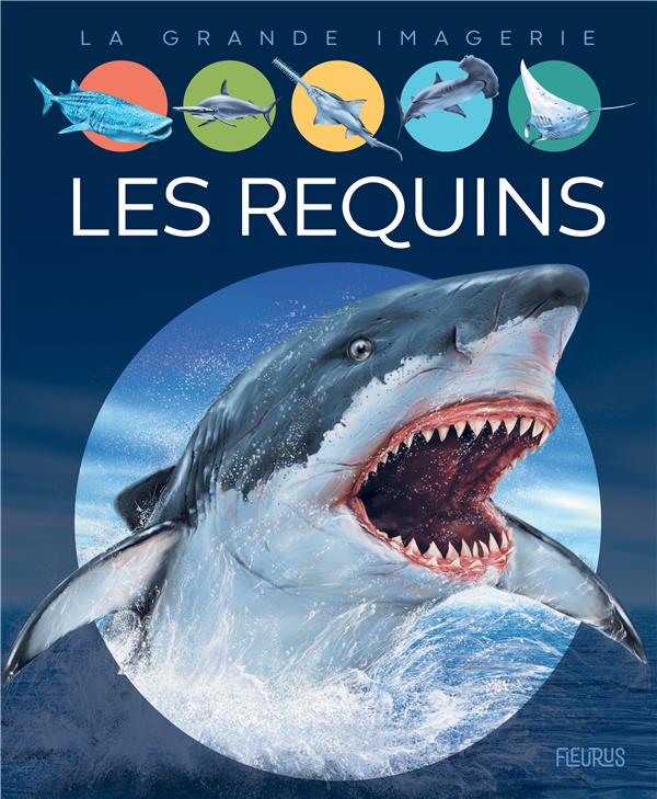 LES REQUINS