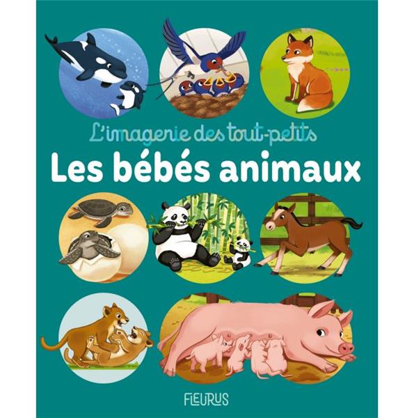 LES BEBES ANIMAUX