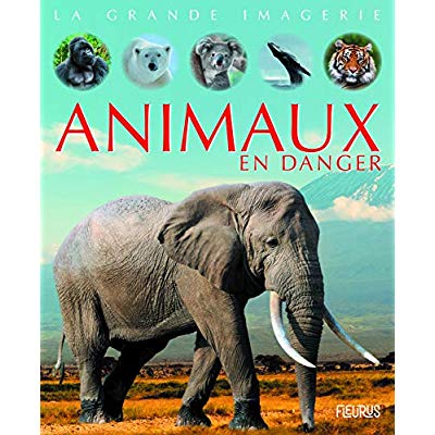 ANIMAUX EN DANGER